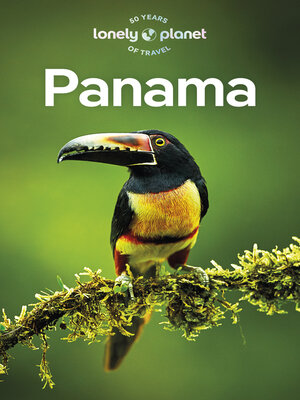 cover image of Travel Guide Panama 10